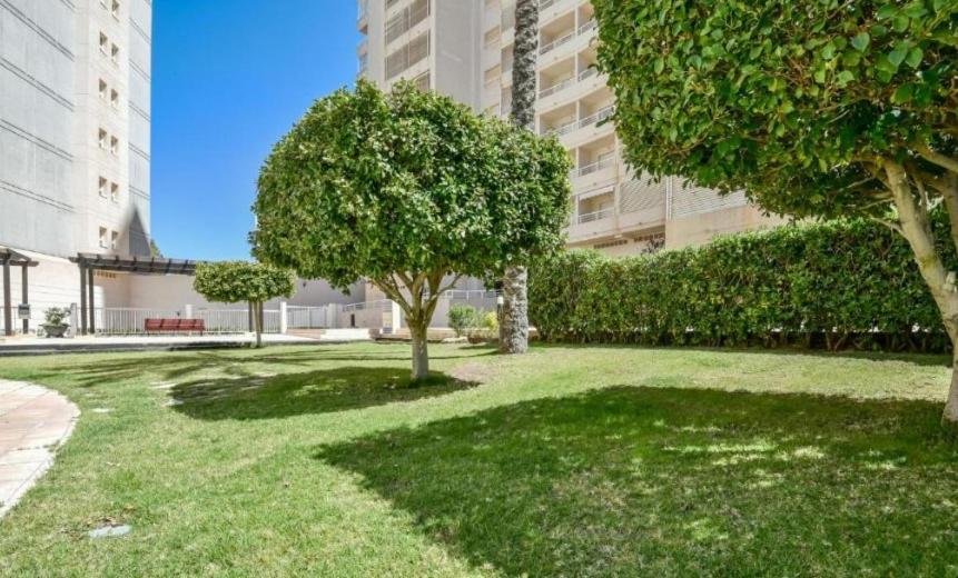 Homeincalpe Apolo XVII 1-14-41 外观 照片